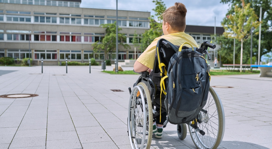 Peer Violence in the School Environment: Protection Standards to Verify