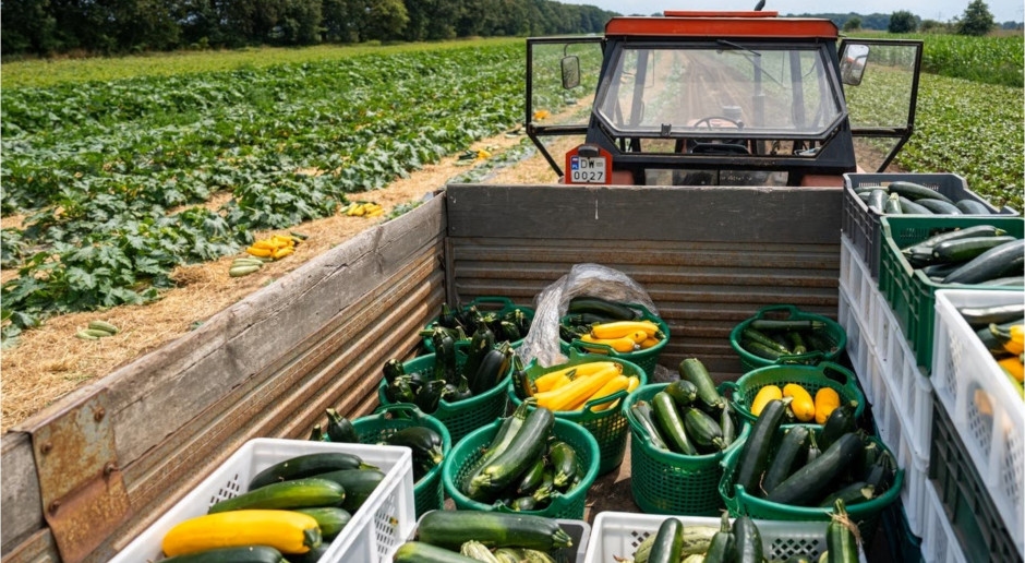 Novas políticas alimentares nas cidades polonesas. Das cozinhas escolares às compras públicas sustentáveis