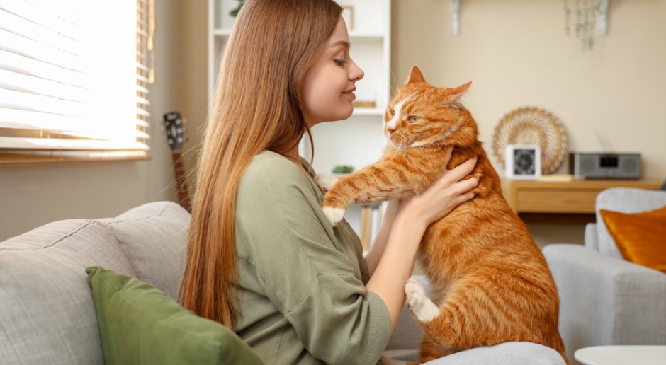 Köpekler ve kediler için özel bir kayıt başlatılacak. Hayvan sahiplerine 5.000 PLN'ye kadar para cezası.