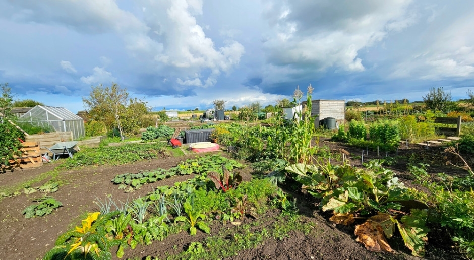 Ameaça à ROD. A rodovia expressa S10 cortará os jardins comunitários