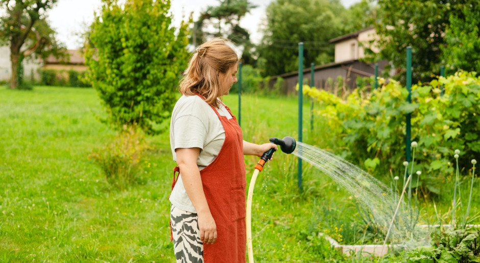 É proibido regar jardins e gramados. As reservas estão se esgotando rapidamente e pode haver escassez de água.