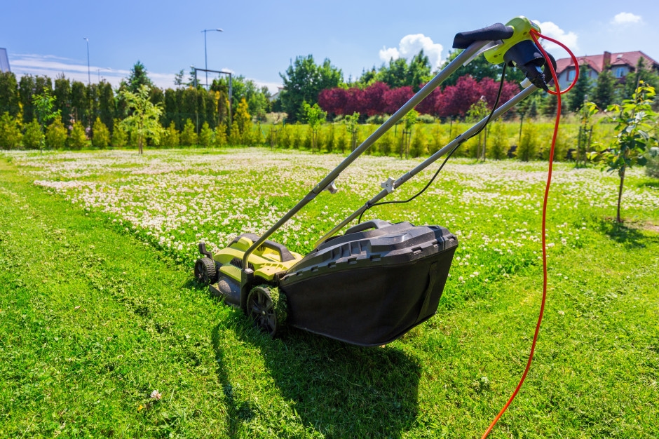 6 mil vezes mais venenoso que o cianeto. Não há antídoto. Plantas de postes em jardins