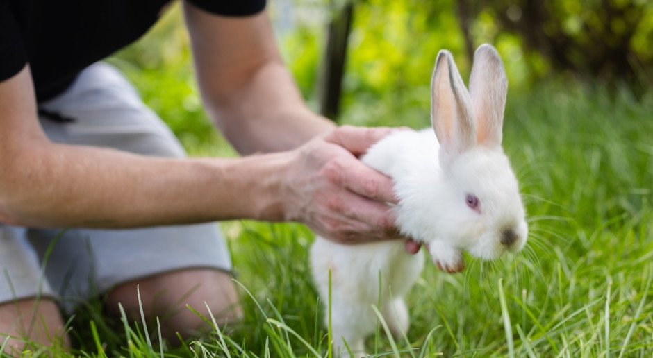 L4 for catching rabbit. Experts' concern grows