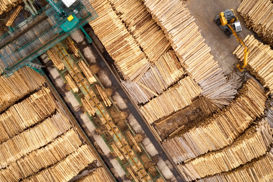 ¿Acabará la nueva ley con la industria maderera? Los costes ascienden a miles de millones de euros.