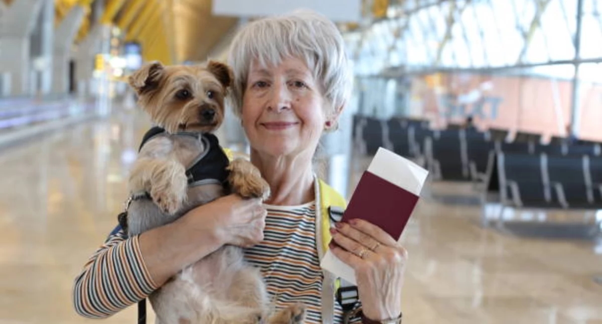Sênior a bordo. O que você deve lembrar ao planejar uma viagem de avião?