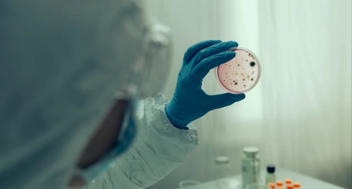 Le SIG rassure : le risque d'épidémie de choléra en Pologne est faible