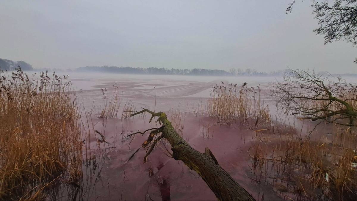 Mysterious sight on the lake. No clues