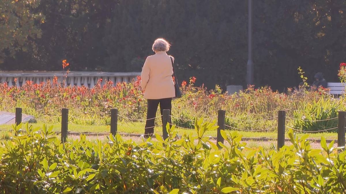 De grands changements dans la psyché des seniors. Un expert explique ce qui se passe dans le cerveau à un âge avancé