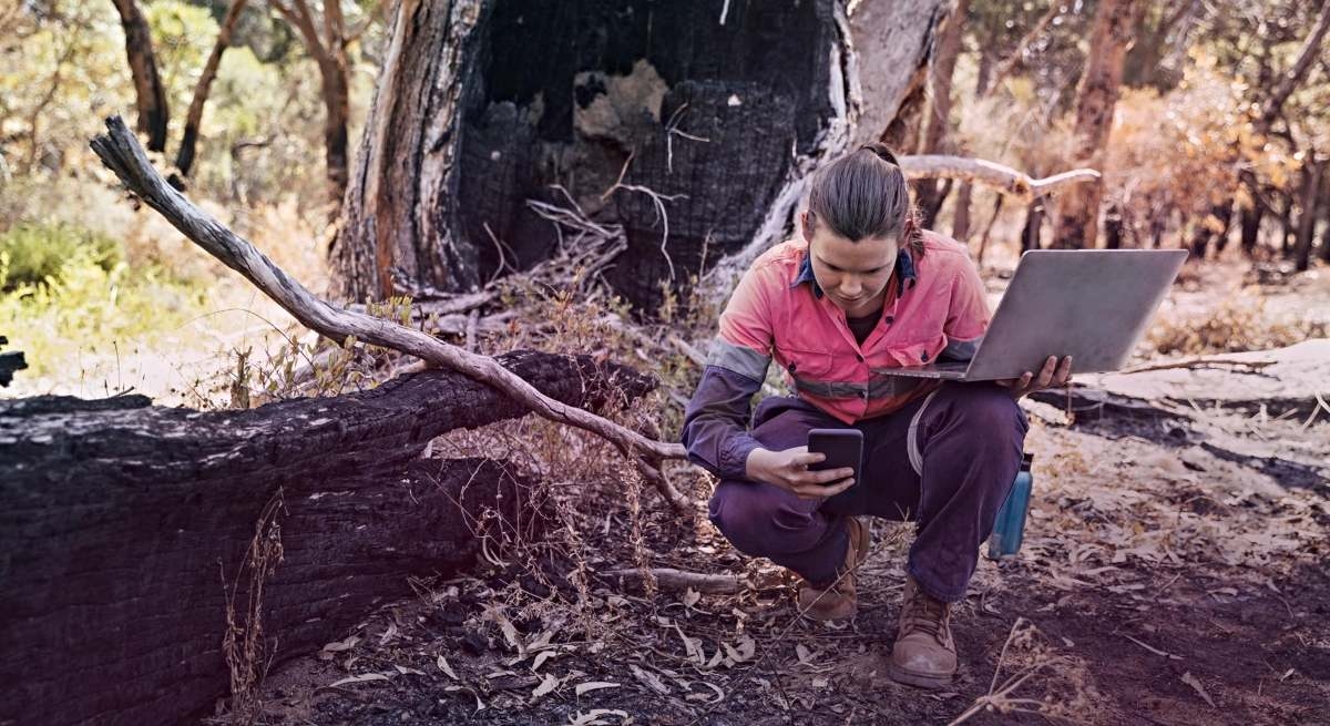 Indra y Minsait desarrollan la tecnología para anticiparse a los incendios: desde IA hasta sensores
