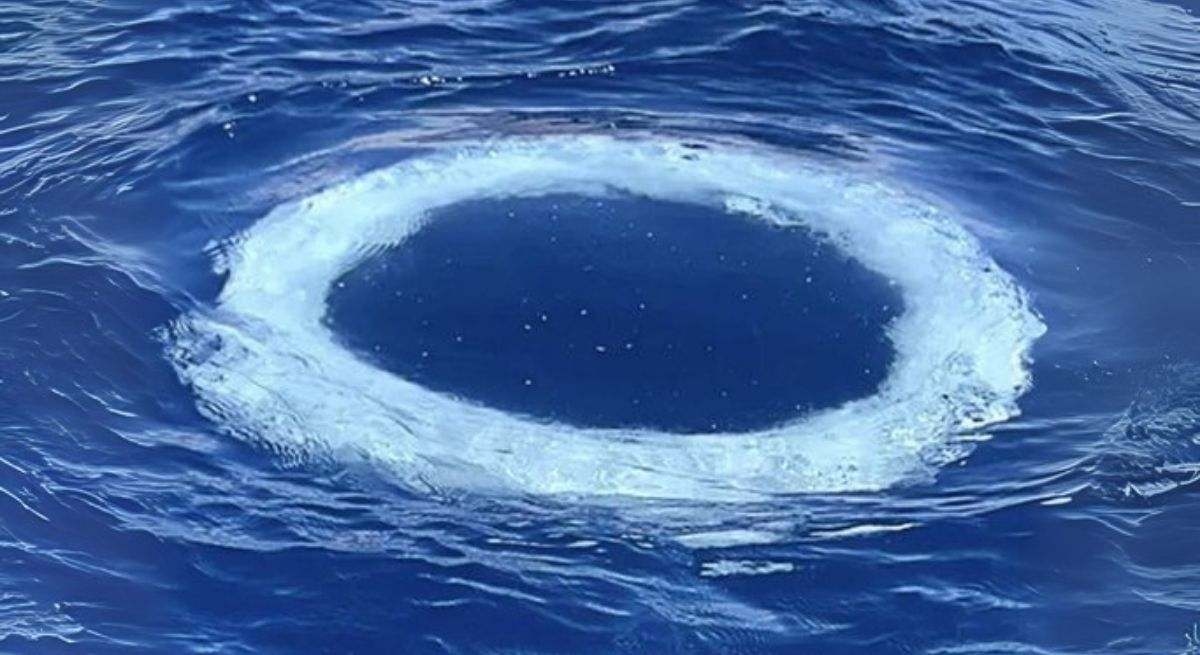 Er verschijnen tientallen ringen in de zee en de wetenschap spreekt zich uit: het zouden berichten kunnen zijn van 'een andere intelligentie'.