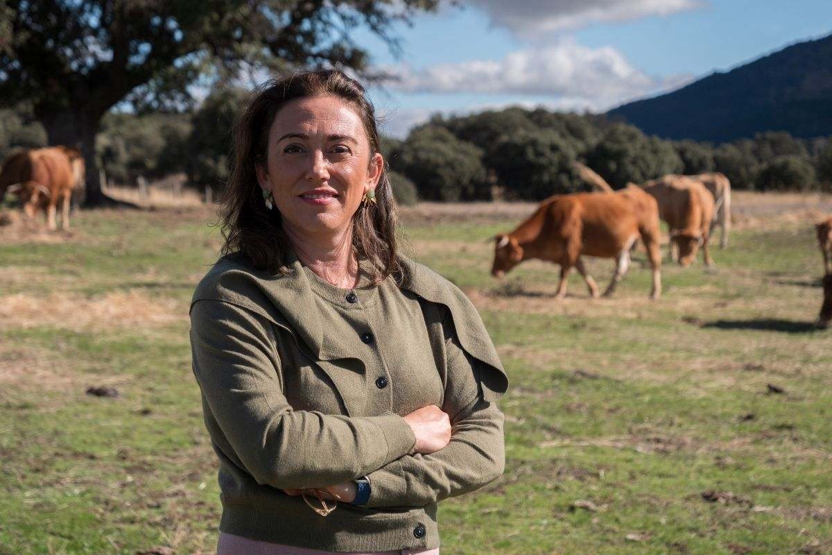 Castilla y León lidera un frente autonómico para reclamar al Ministerio mejoras en los seguros de viñedos por el mildiu