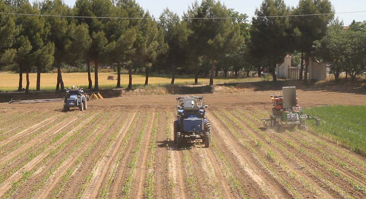 Castilla y León, 75 hektarlık ortalama tarım arazisiyle bir kez daha en büyük ortalama tarım arazisi büyüklüğüne sahip topluluk oldu