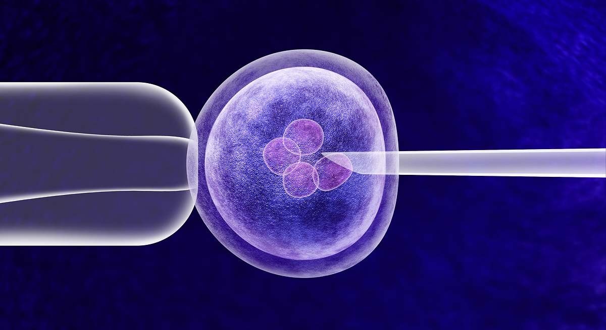 De nieuwe rage in Silicon Valley draait om wonderbaarlijke baby's: de genetische testindustrie voor embryoscreening is geboren.