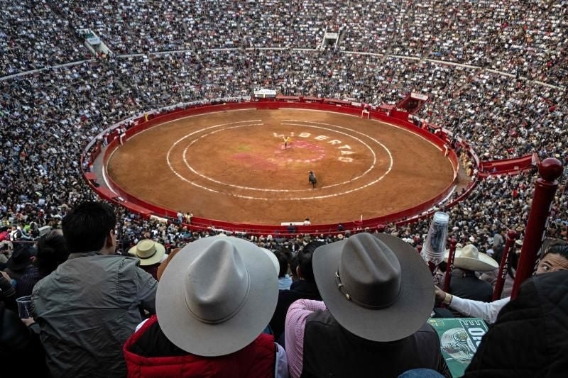 Plaza México приостанавливает бои быков из-за нового законодательства: «Зрелище немыслимо без насилия».