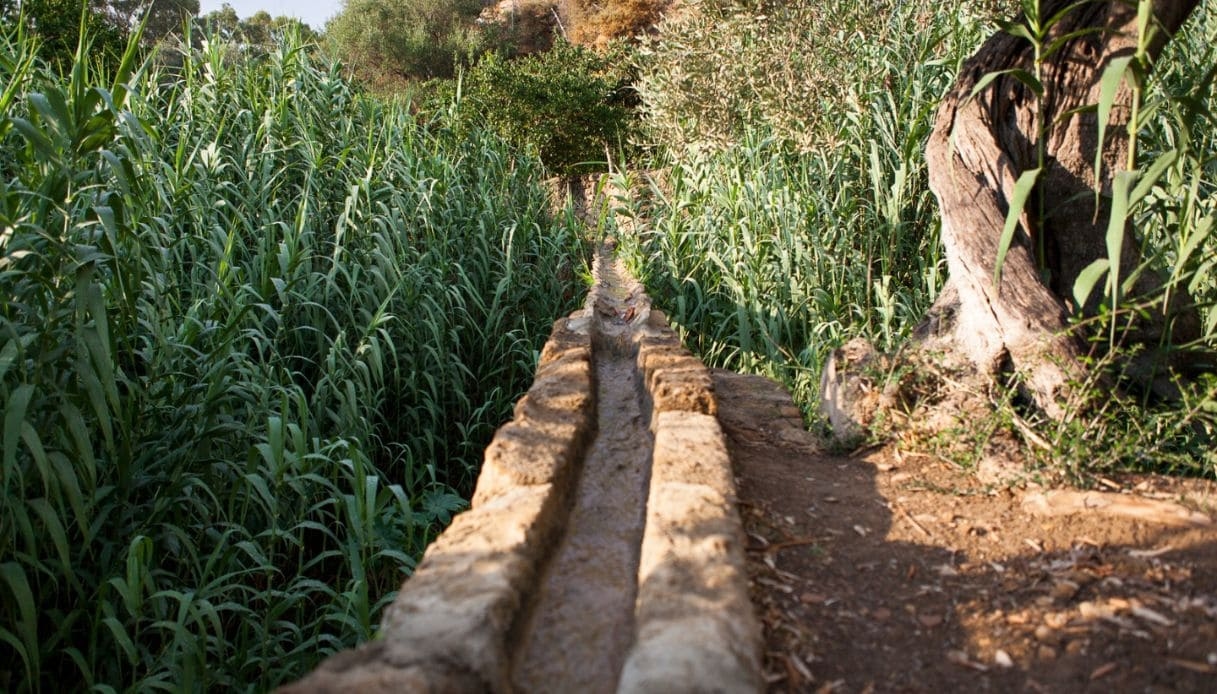 Der Kolymbethra-Garten in Agrigent: ein Stück Paradies