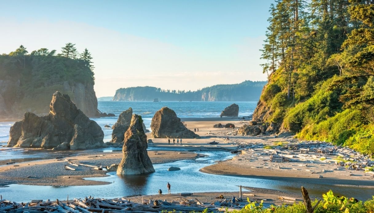Olympic National Park: What to See and How to Live an Unforgettable Adventure