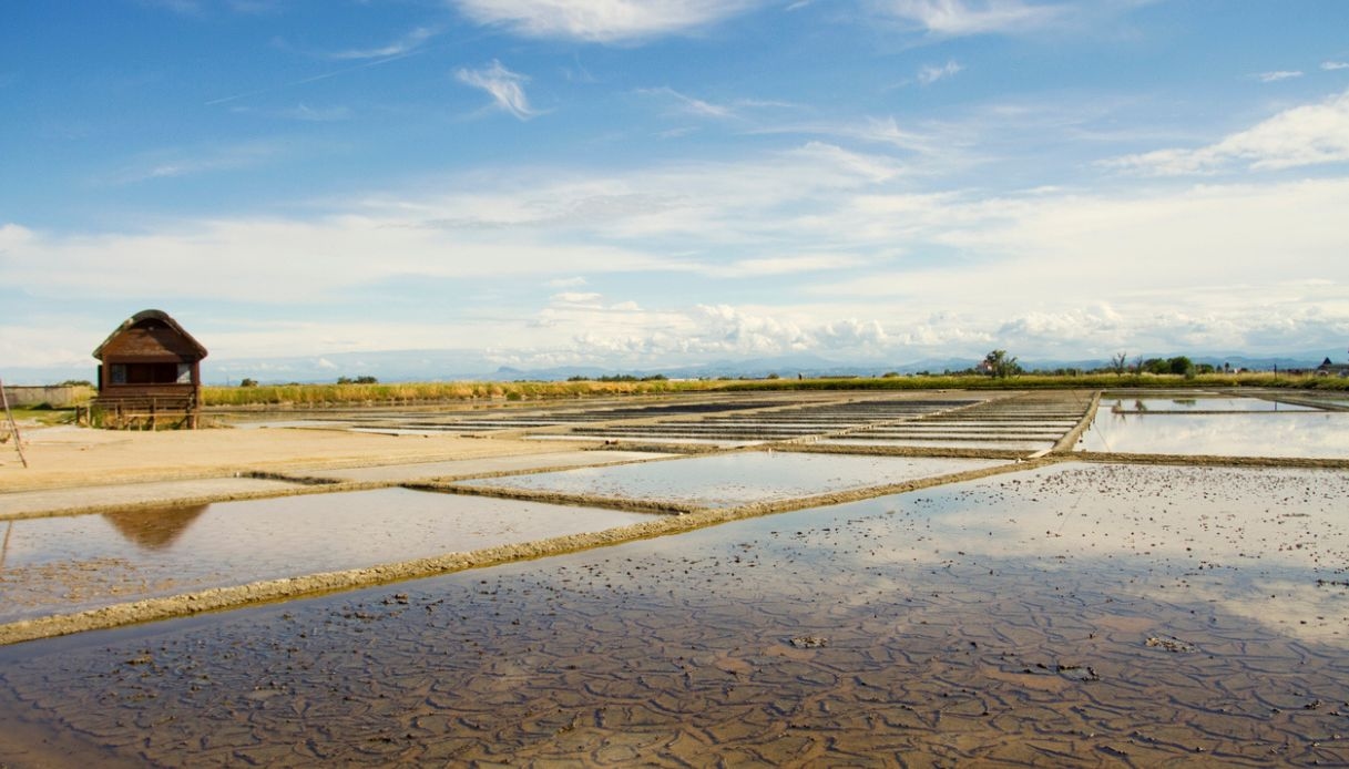 Salina di Cervia: waar witgoud natuur en herinnering ontmoet