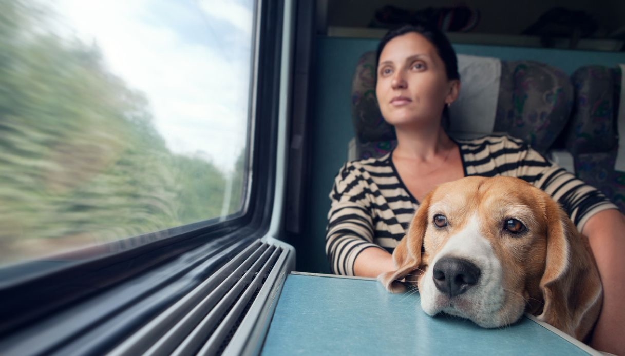 Este verano, los perros viajan gratis en los trenes, independientemente del tamaño.