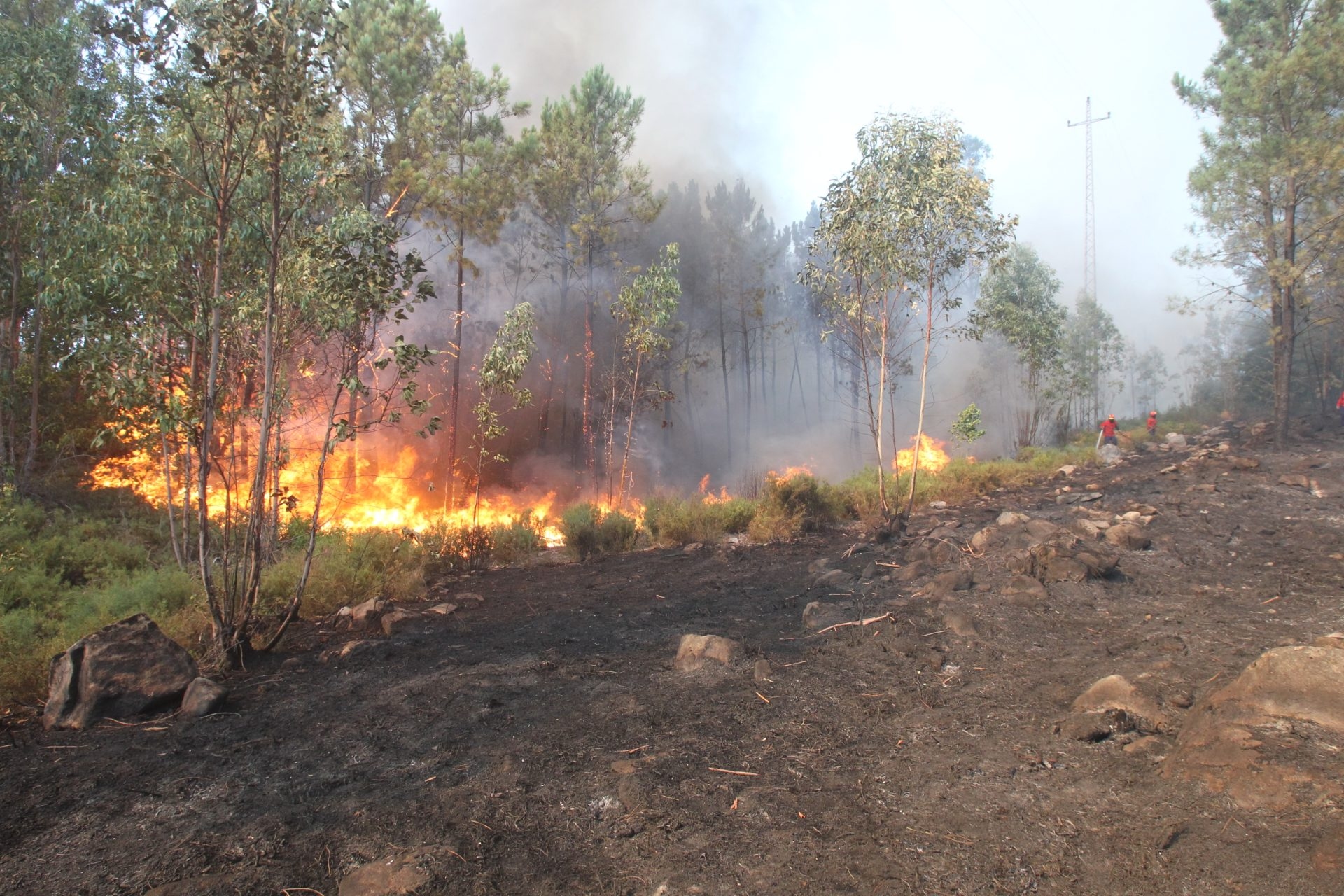 Nuovo rinforzo del dispositivo antincendio