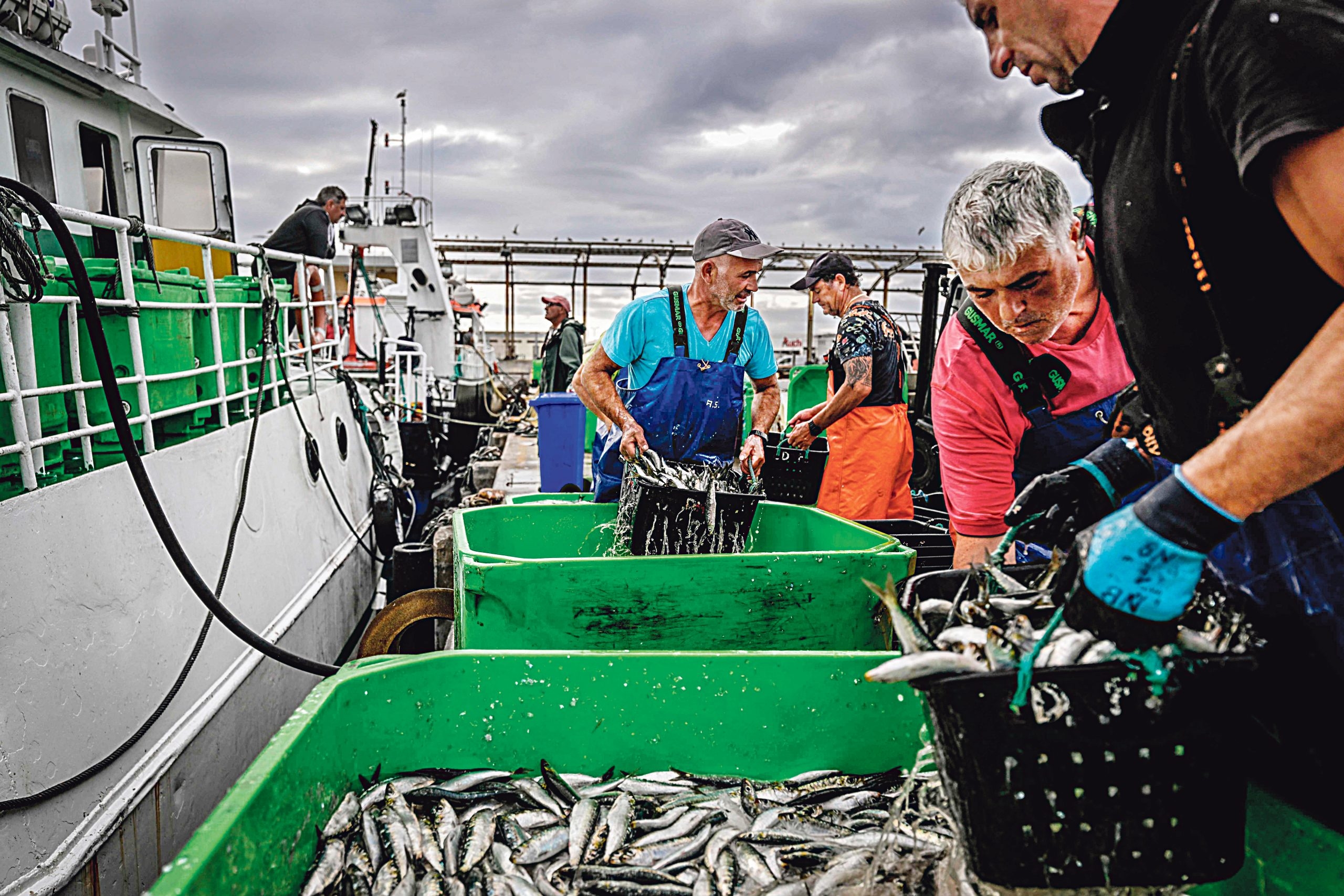 Europa veio por terra e por mar. 40 Anos de Agricultura e Pescas em Portugal