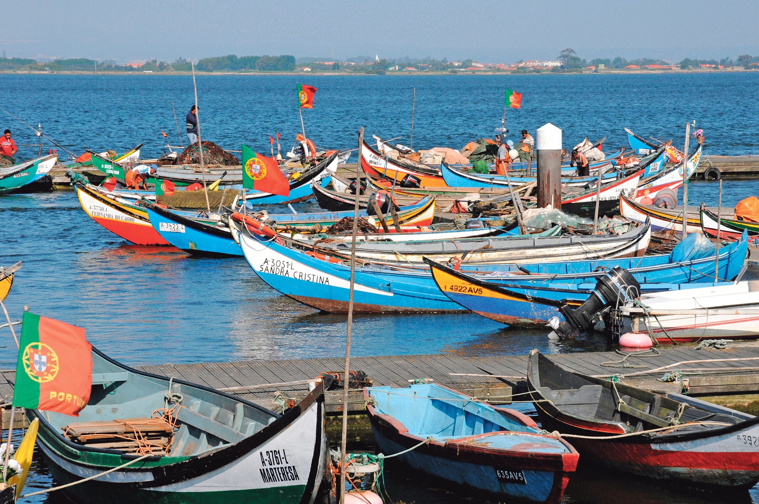 Government pays 621 thousand euros to fishermen