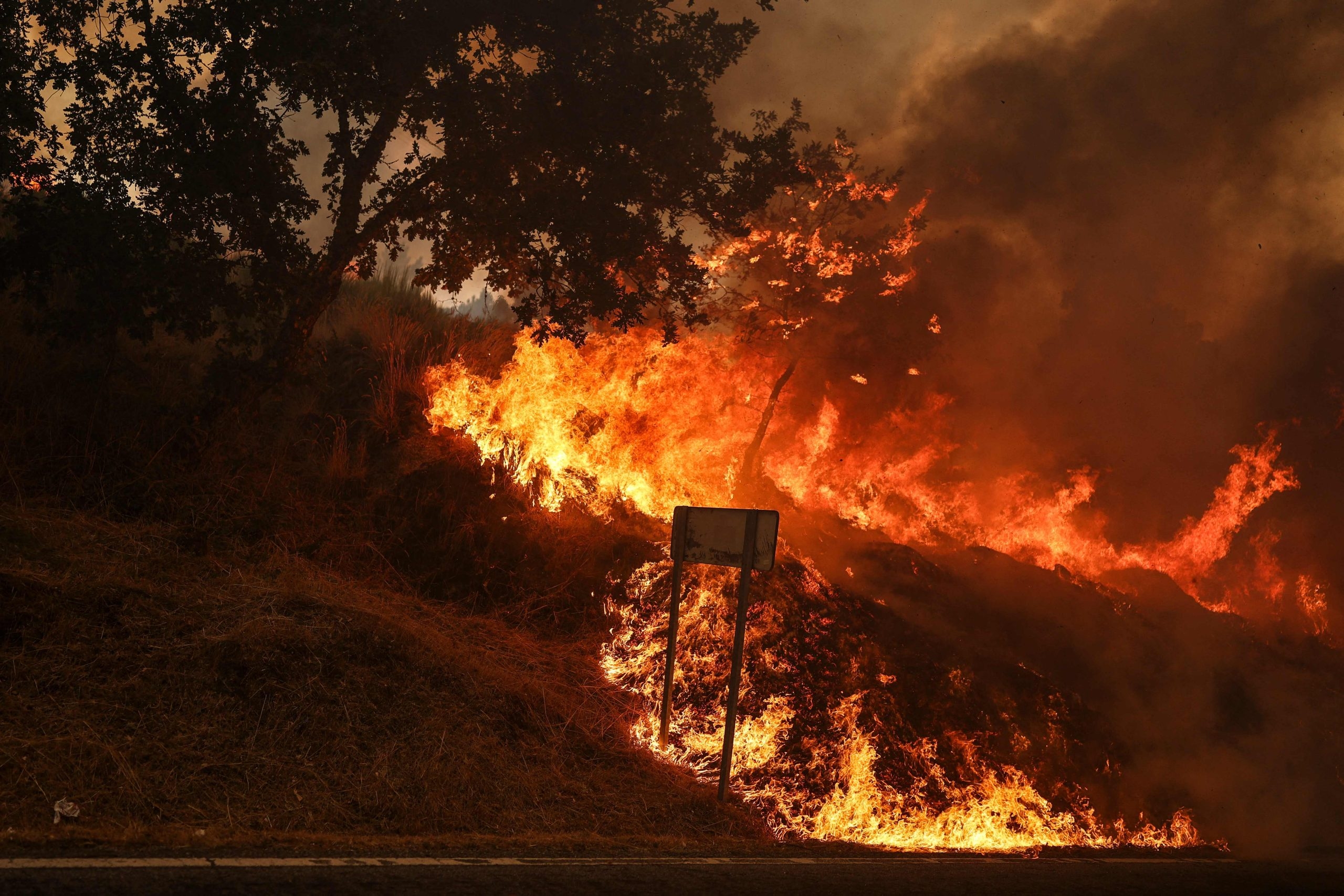 MAI betuigt medeleven na overlijden brandweerman in Covilhã