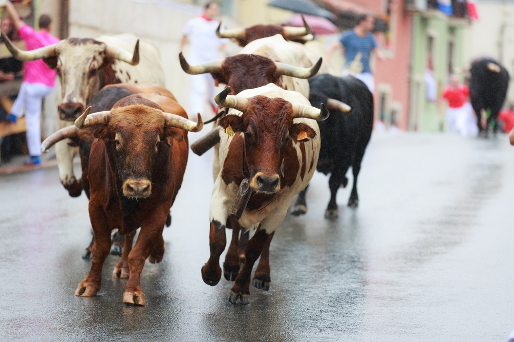 Cinco heridos durante encierros de toros en Alcochete