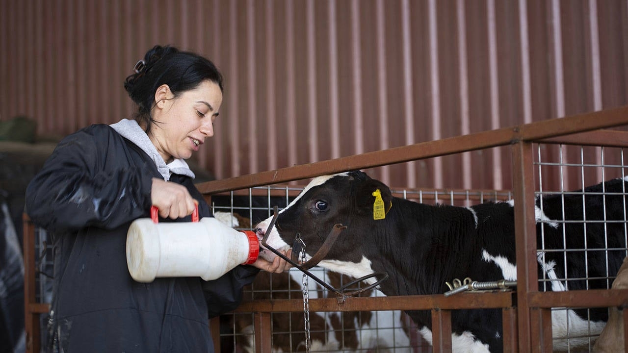 Grote bedrijven haalden gratis melk op