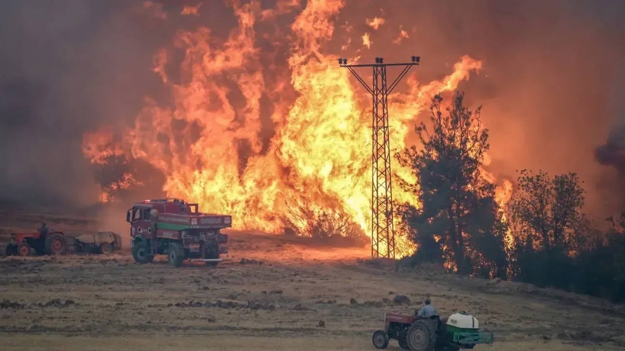 Sie haben das Land in Brand gesteckt