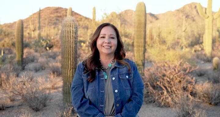 Establishment-backed Democrat wins high-profile congressional primary in Arizona
