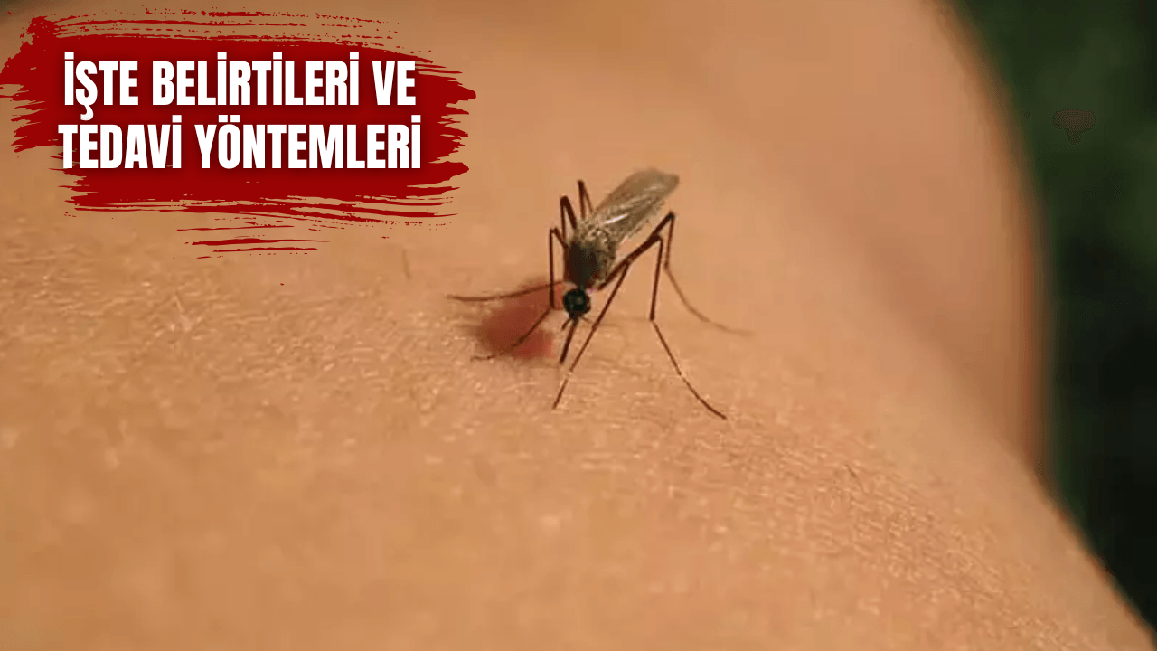 Çin'de virüs alarmı! 7 bin vaka