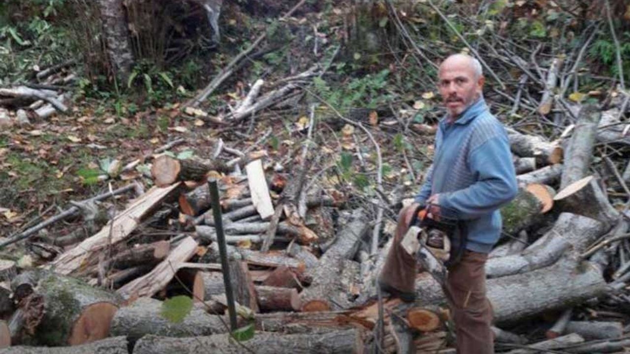 Hij stierf op tragische wijze onder de boom die hij had omgehakt.