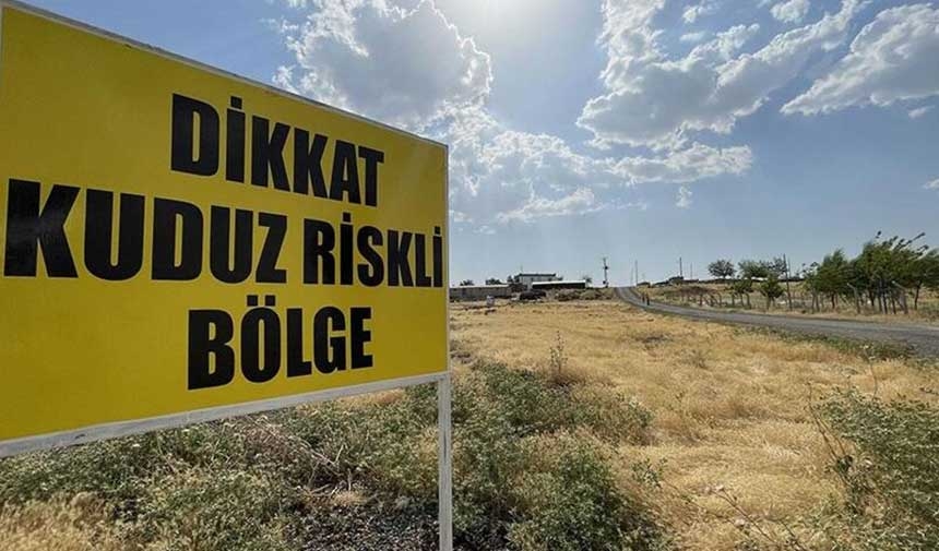 Hondsdolheidsquarantaine in 4 wijken in Hatay
