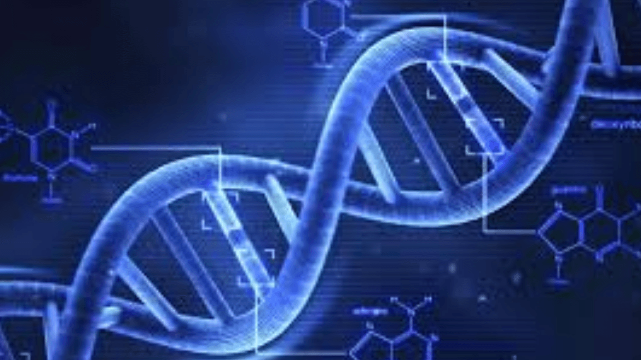 Kunstmatig menselijk DNA-project van start te midden van controverse