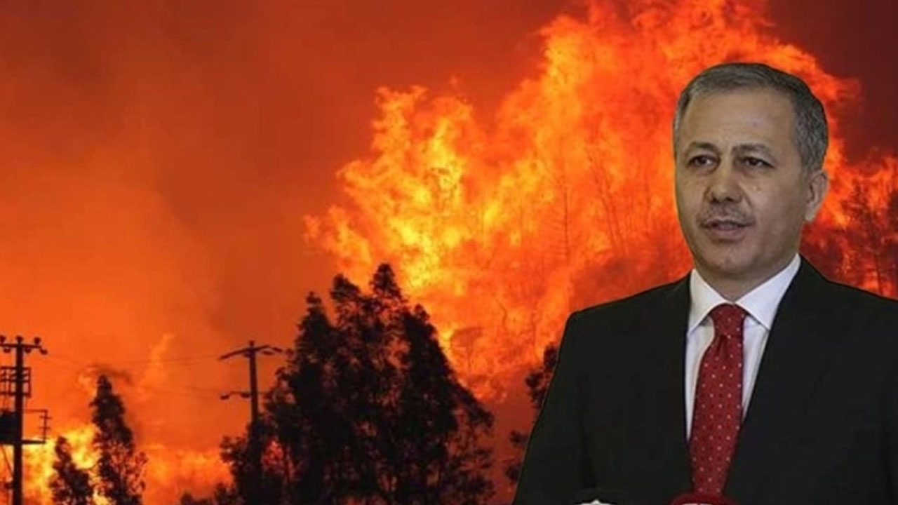 Płuca nam płoną! Ewakuowano 50 tysięcy obywateli
