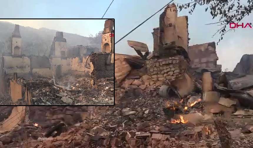De brand in Sakarya verspreidde zich naar Bilecik! Een dorp werd in de as gelegd.