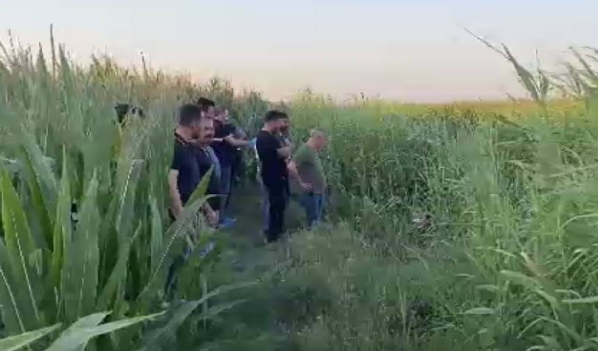 Männliche Leiche in Bachbett in Adana gefunden