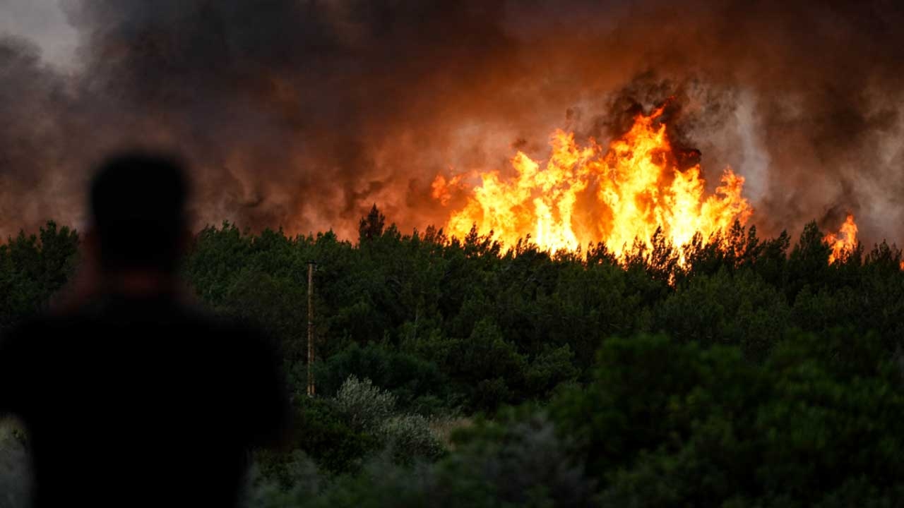 Dementi der „PKK“-Behauptung zu den Waldbränden