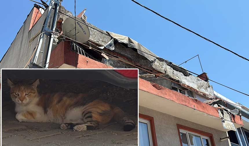 A balcony collapsed on its own in Kağıthane, narrowly escaping death for a cat
