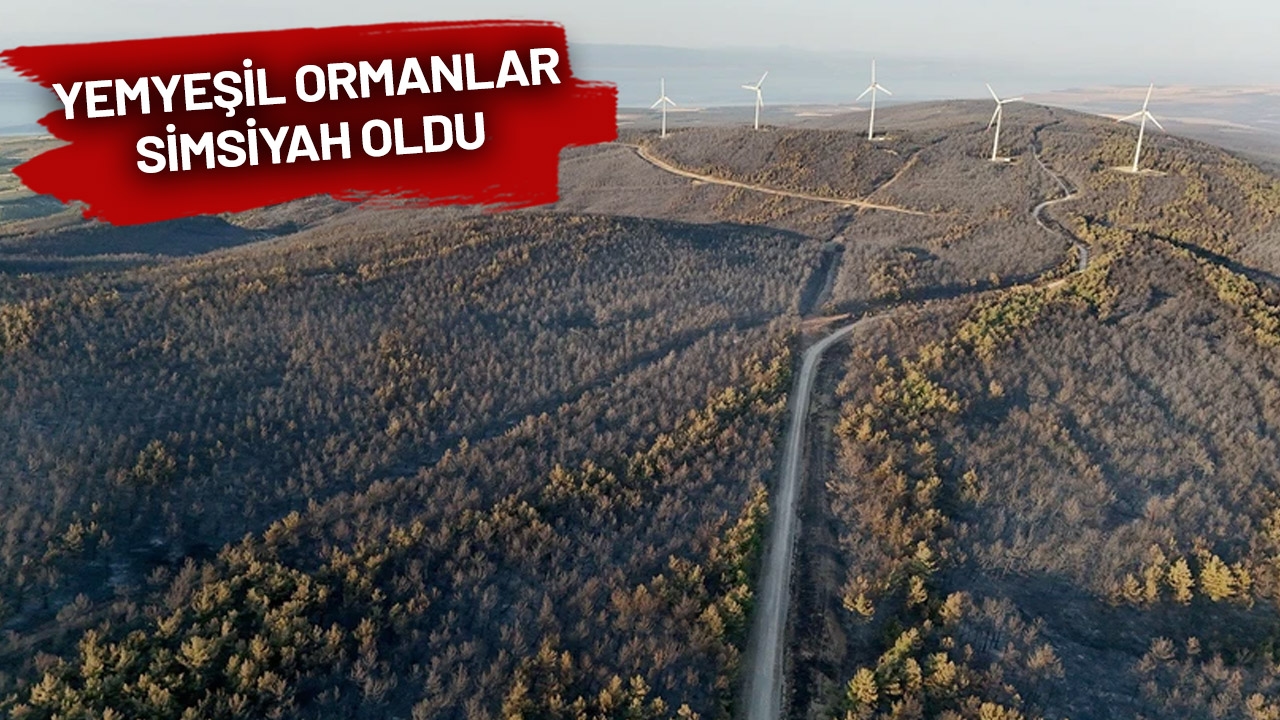 Tekirdağ fire on the 3rd day!