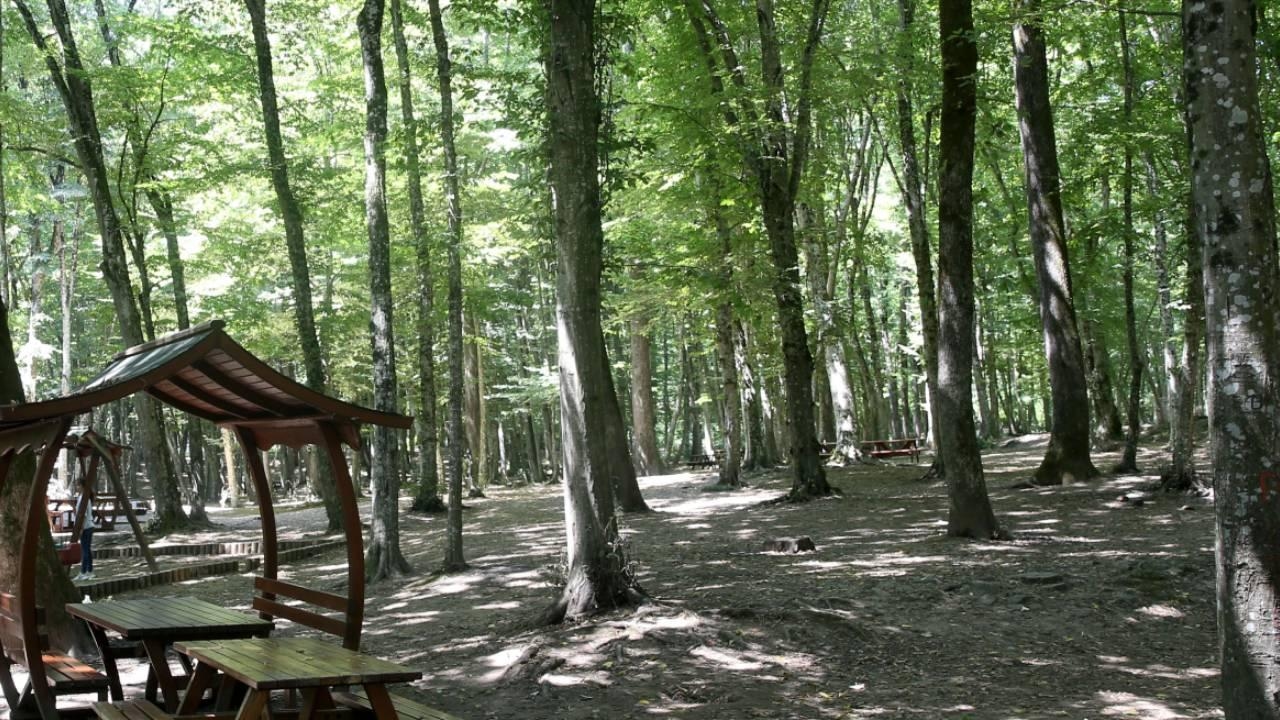 Está prohibida la entrada a las zonas forestales de Yalova.