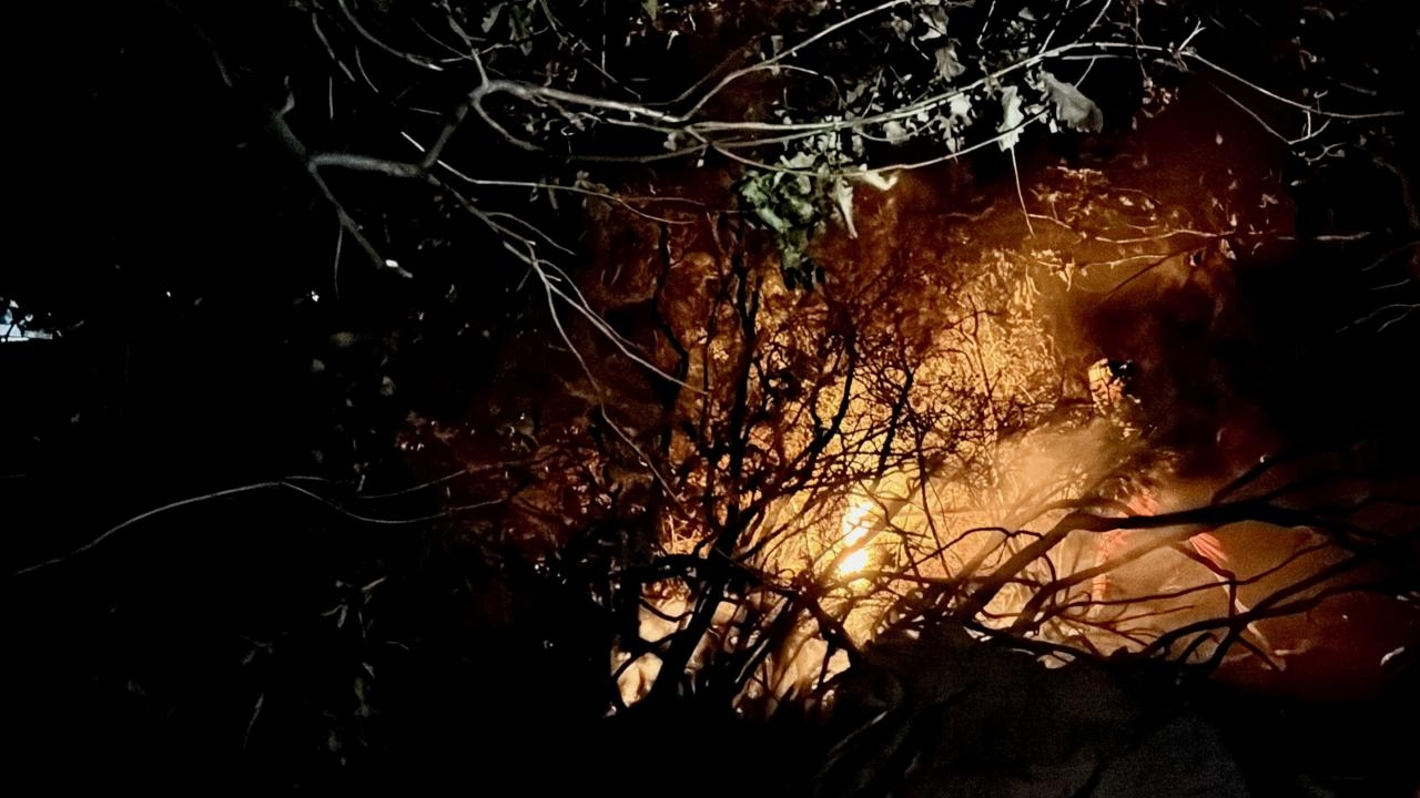 De brand die in een bosgebied in Kocaeli uitbrak, is onder controle gekregen.