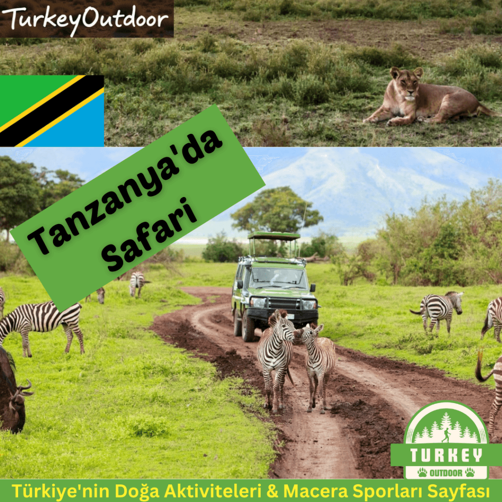 Budgetfreundliche Safari-Optionen in Tansania