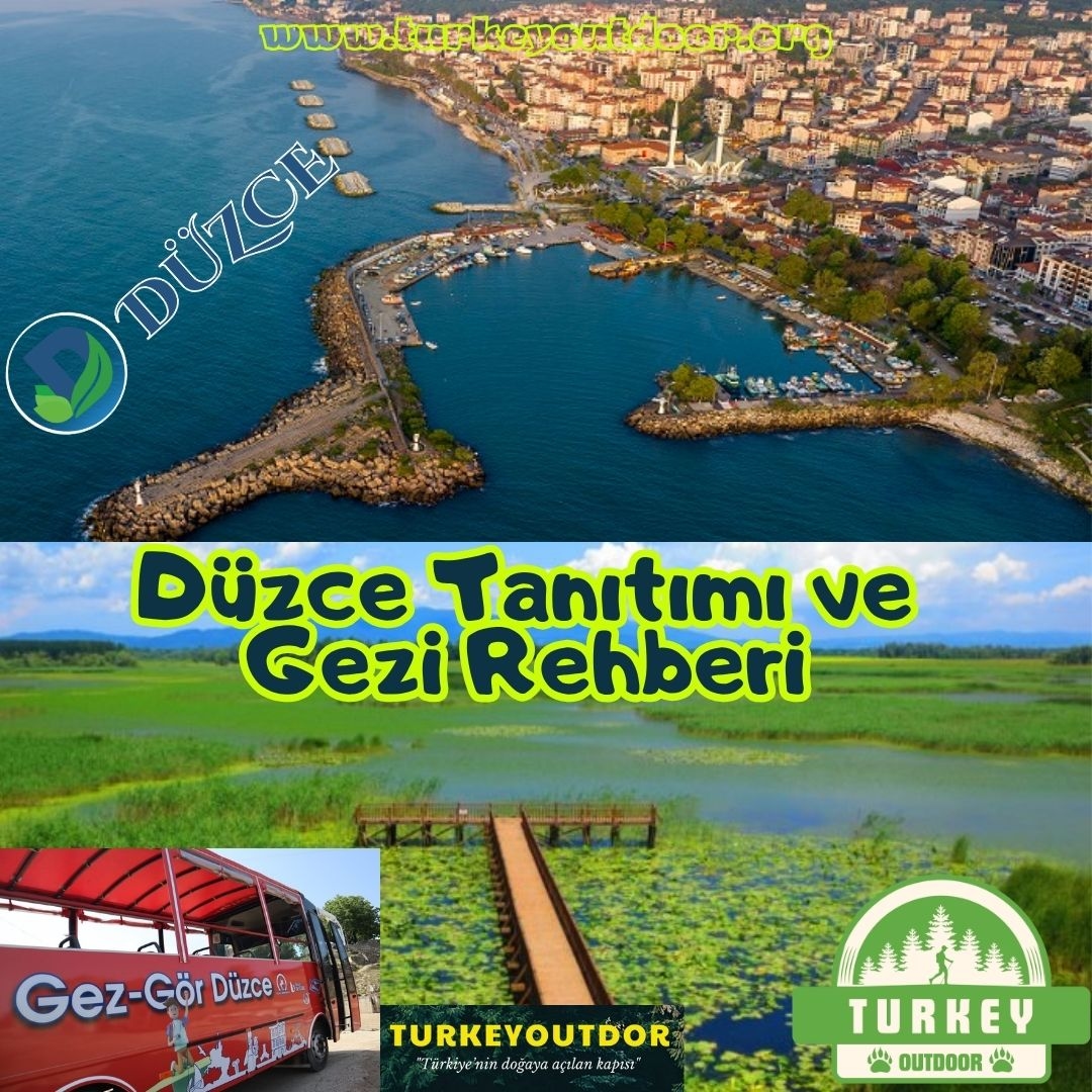 Miejsca do odwiedzenia w Duzce: Staw Kaynasli Camlipinar