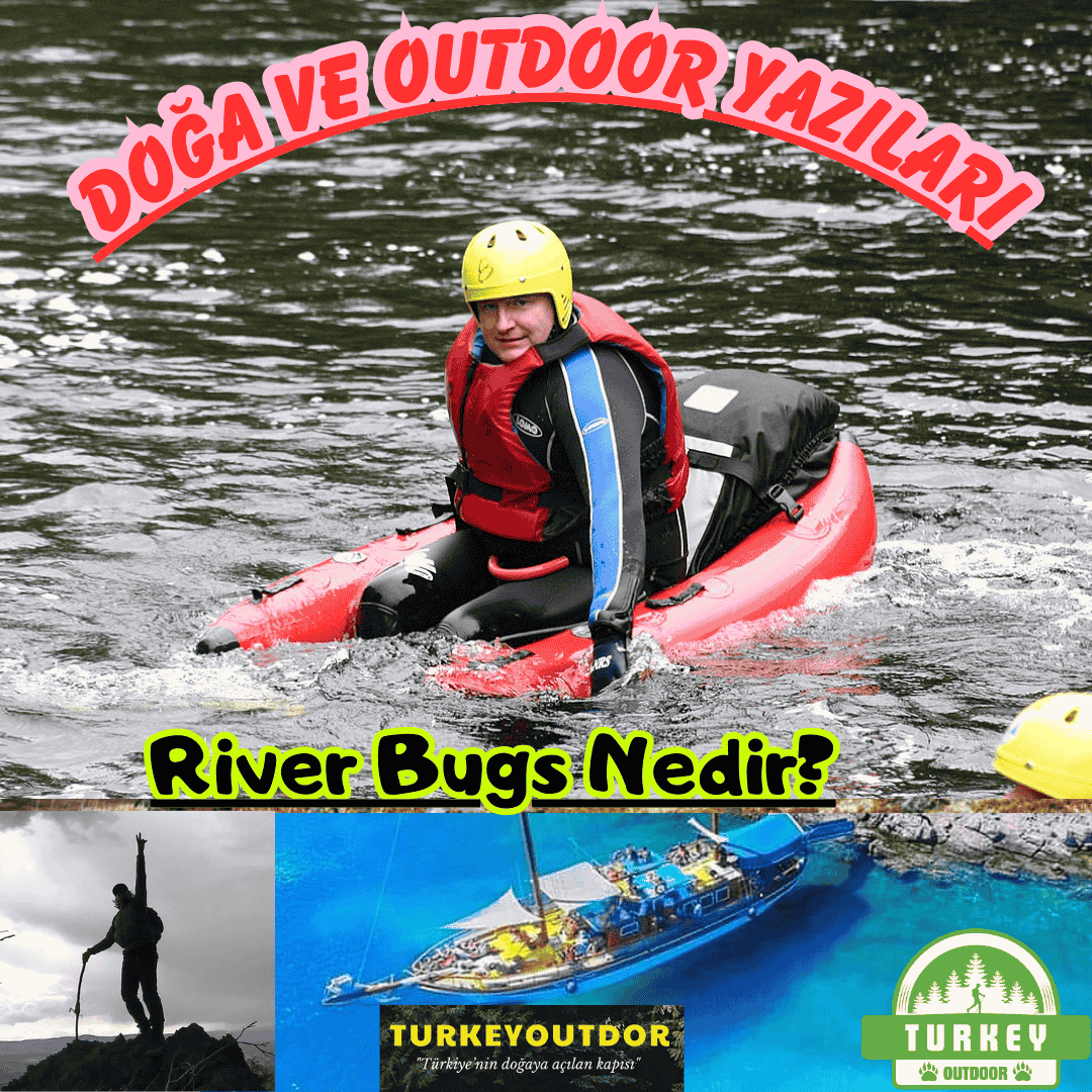 What are River Bugs?