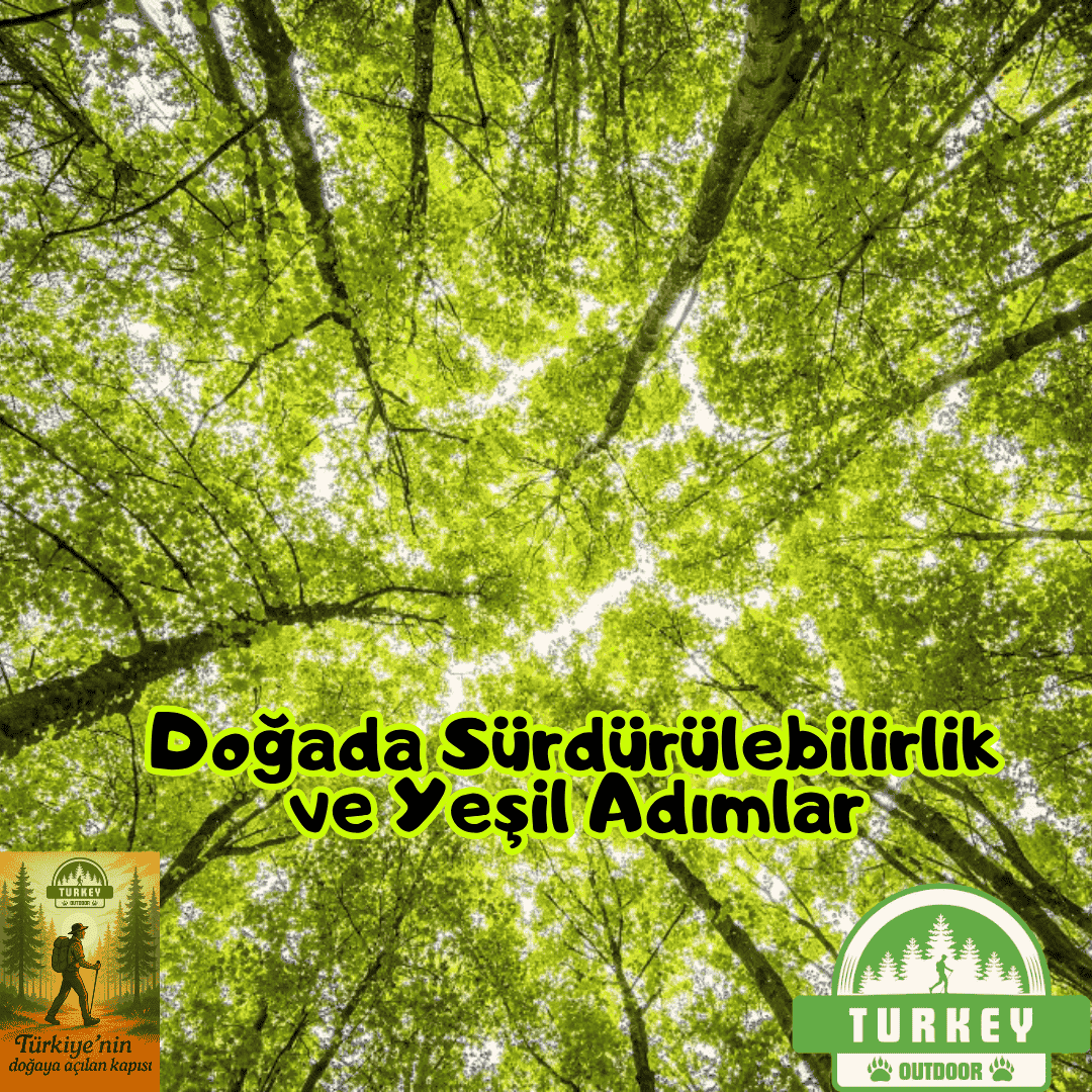 Doğada Sürdürülebilirlik ve Yeşil Adımlar