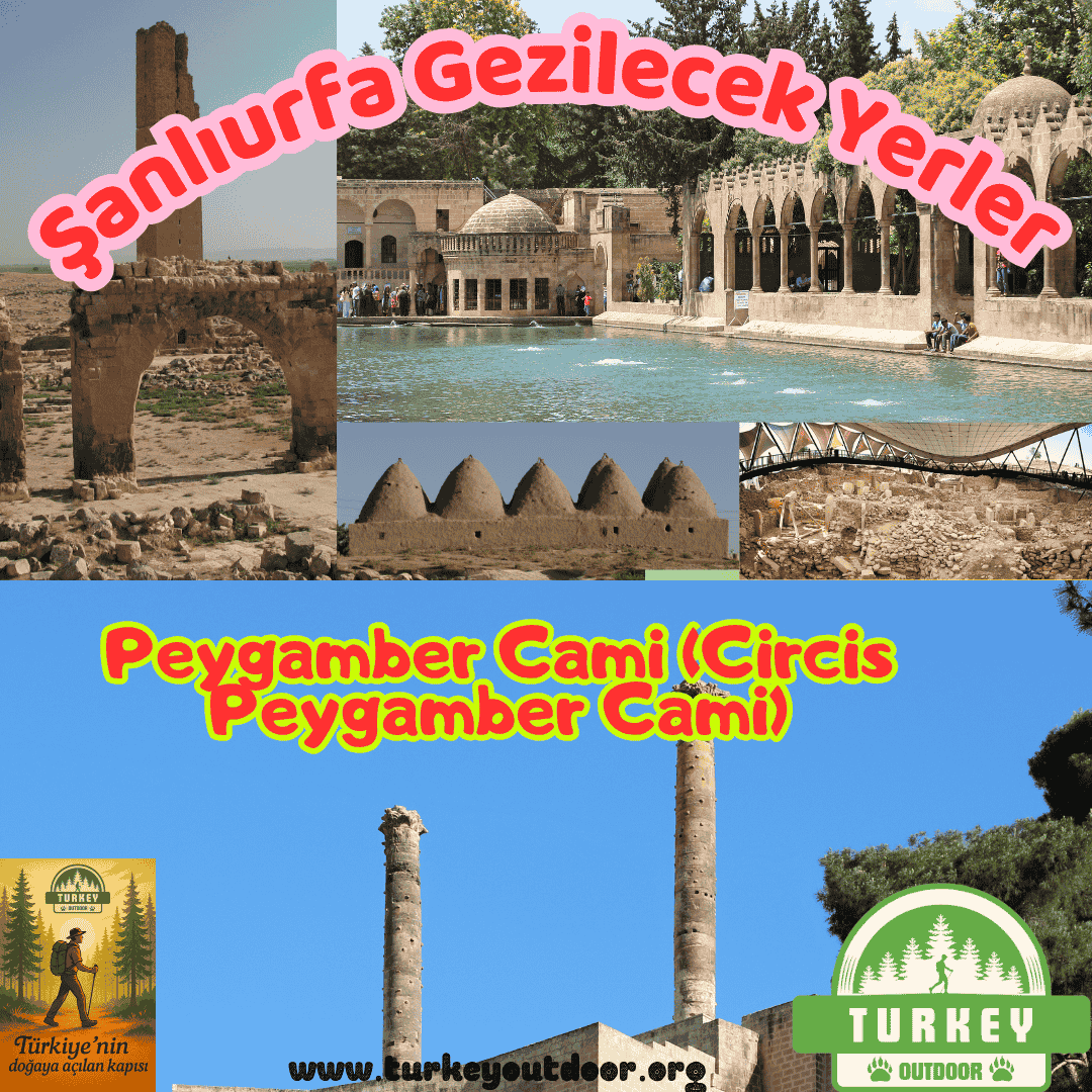 Şanlıurfa Peygamber Cami (Circis Peygamber Cami)