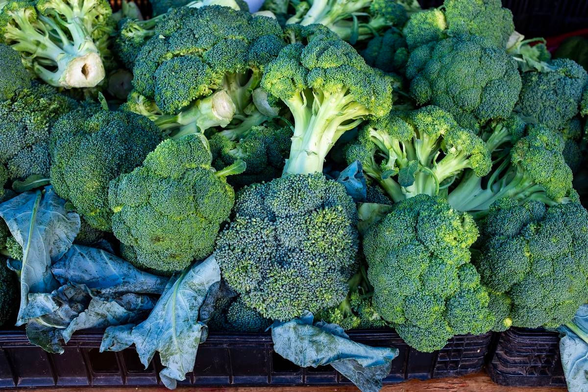 Nutricionista esclarece qual o melhor tipo de brócolis para a saúde