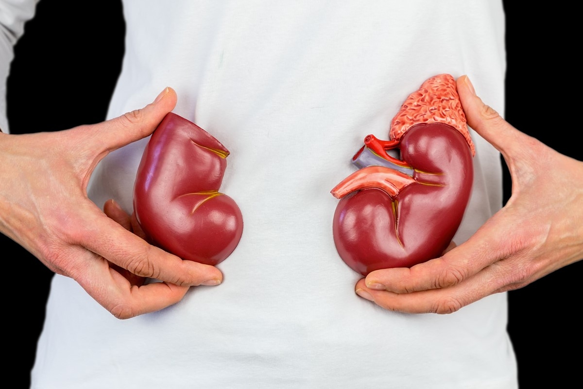 6 kruidenthee voor het reinigen van de nieren die je thuis kunt kweken