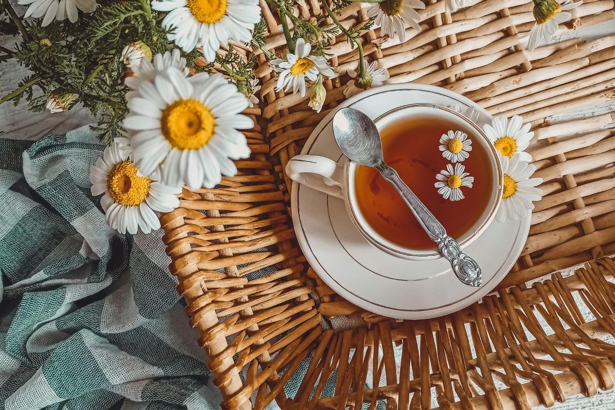 Té de manzanilla: beneficios, contraindicaciones y preparación ideal